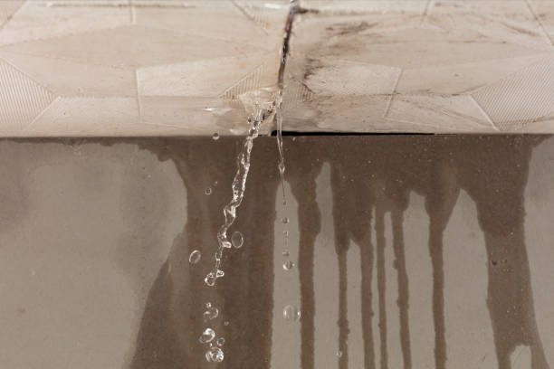 Professional Sewage Cleanup technician working in Crystal, MI